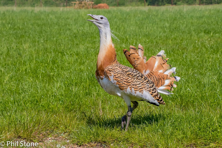 Watatunga Wildlife Reserve by null