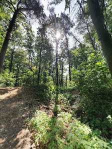 Schießberg (421m) Unnamed Road, 91330 Eggolsheim, Deutschland