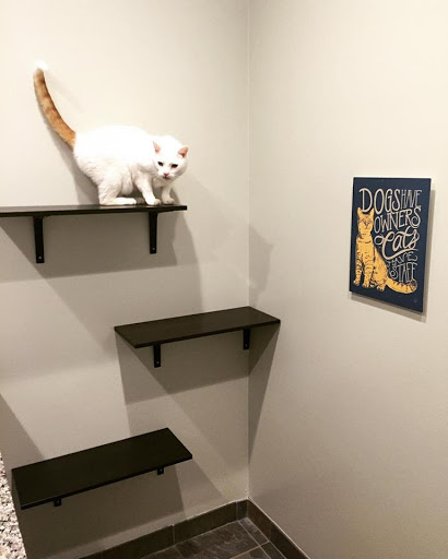 Mitten Animal Hospital - Thumbnail