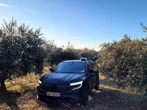 Photo n°7 de Taxi Ivaldi Sebastien à Mérindol (Service de taxi)