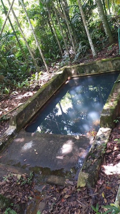 Photos of Bogahawaththa Estate