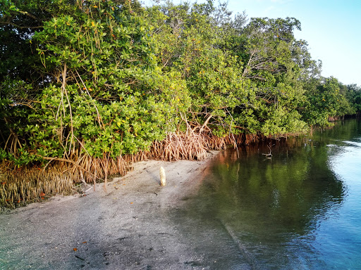 Bear Point Sanctuary - Visual