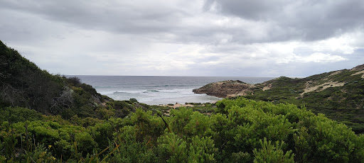 Pearses Beach Car Park - Thumbnail
