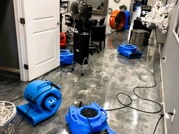 Moldav Repairs photo