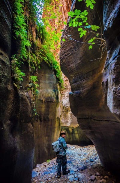 Photos of Go Jordan Travel and Tourism