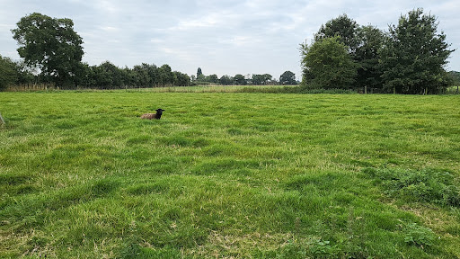 Far Shires Farm - Thumbnail