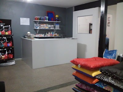 Photos of clinica veterinaria vital