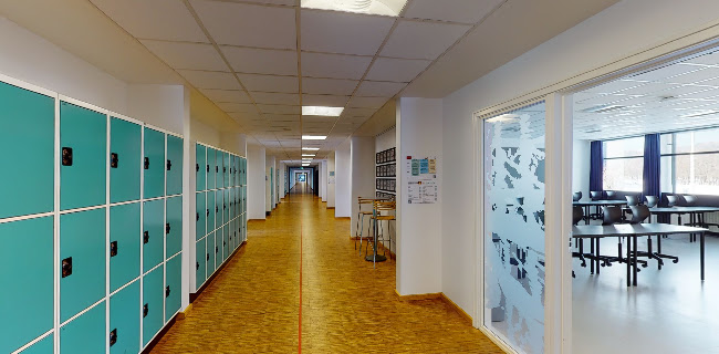 Rosborg Gymnasium og HF - Vejle