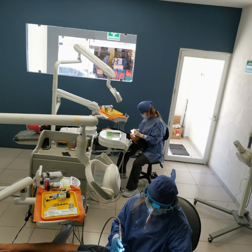 JM Clinica Dental - Thumbnail