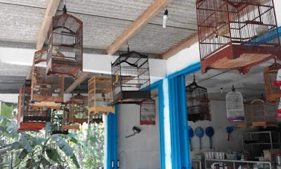 Photos of Toko Mbah Joyo "Manuk"