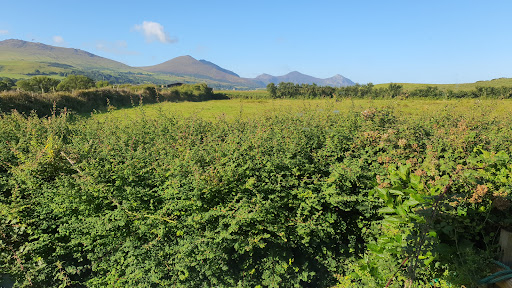 Llyn Y Gele Caravan Park - Thumbnail