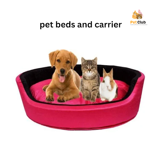 🛏️🐾 Pet Beds and Carriers in Panipat – Comfort for Your Pets! post image