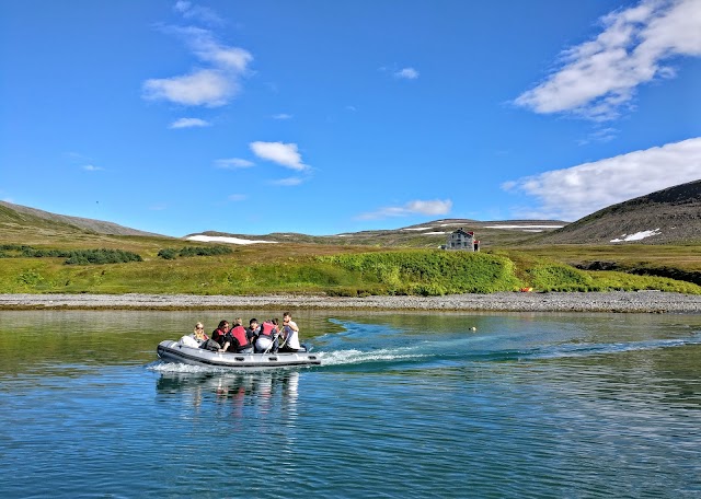 Hornstrandir Nature Reserve