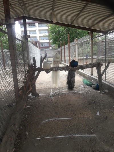 Photos of Babolsar Zoo