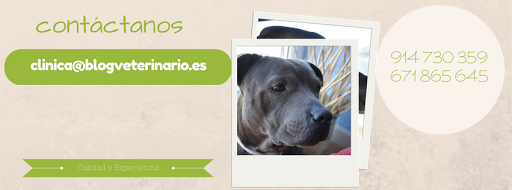 Clinica Veterinaria Colores