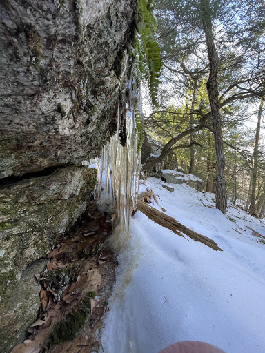 West Side TrailHead