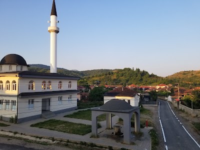 Mollaj