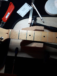 Photo n°23 de ZZO BASS LAB-LUTH à Auxerre (Professeur de musique)