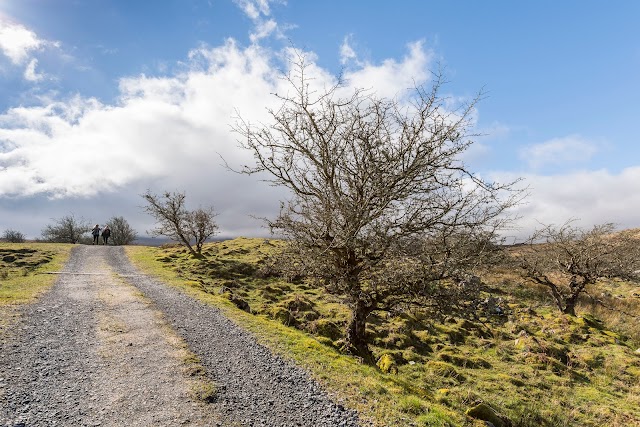 Cuilcagh Boardwalk, Cuilcagh Legnabrocky Trail