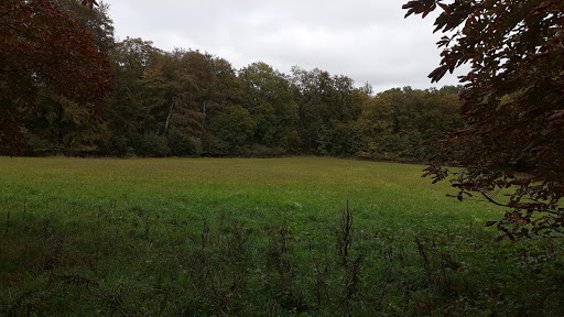 Unterstand "Reiterwiese" - Thumbnail