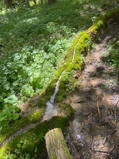 Steinerne Rinne at Wolfsbronn - Thumbnail