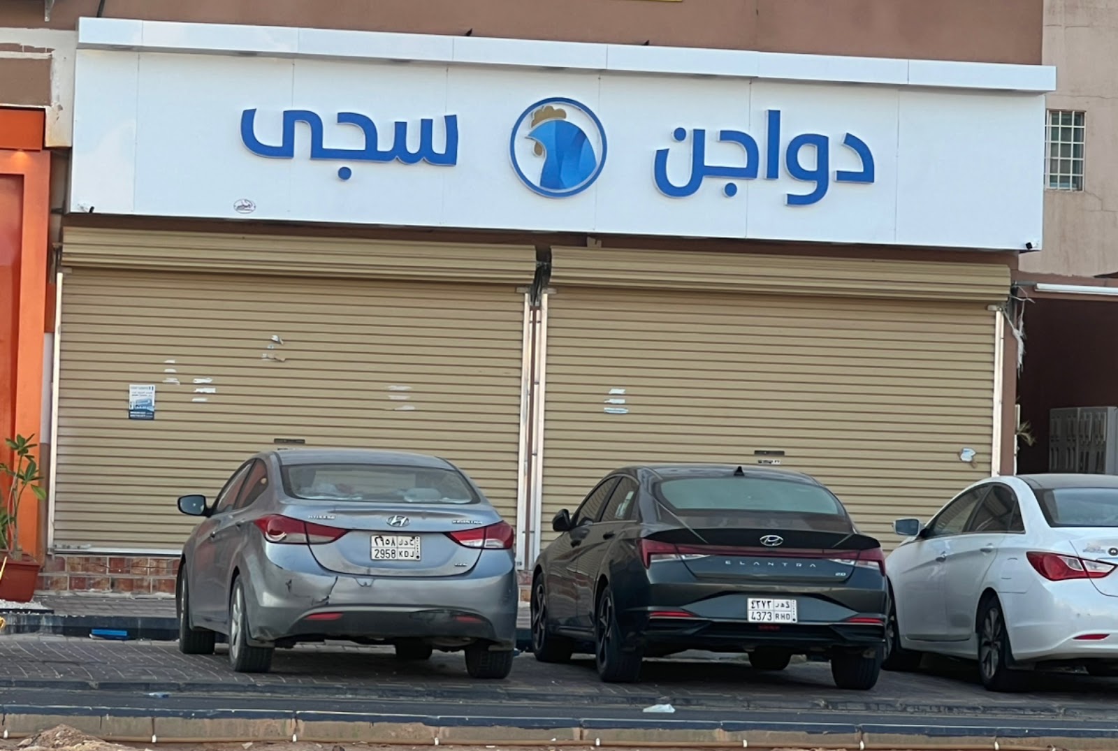 دواجن سجى - صورة 3