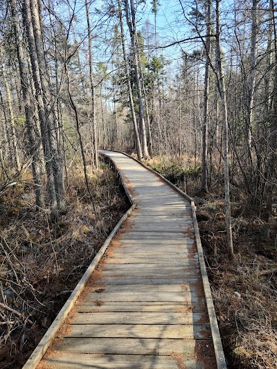 Lake Bemidji State Park