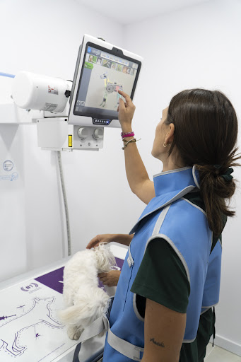 VerosVet Clínica Veterinaria