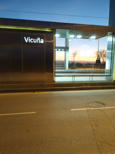 Vicuña - Visual