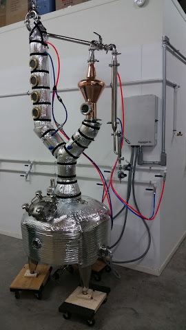 Violet Crown Spirits by null