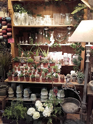 Photo n°36 de L'Espace d'Un Matin à Lyon (Service de plantes d'intérieur)