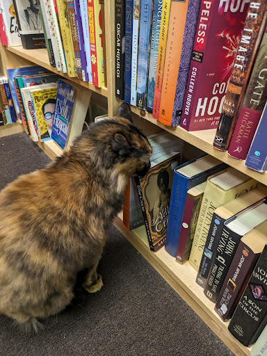 The Bookshop in Lakewood - Thumbnail