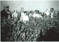 Domaine Vincent Lacour à Saint-Georges-sur-Cher