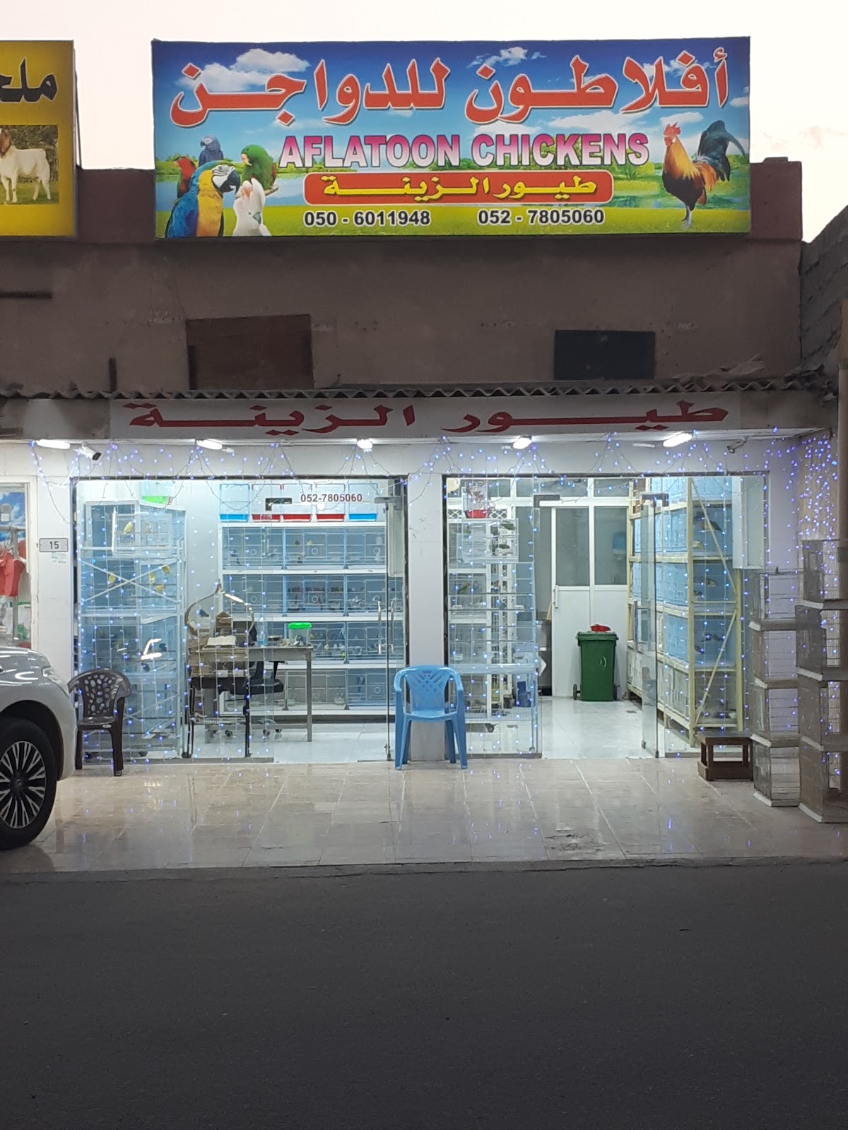 Al Aman Slaughtered Fresh Poultry Trading - صورة 2