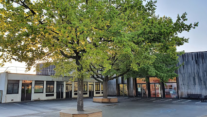 Ecole Rosa Parks