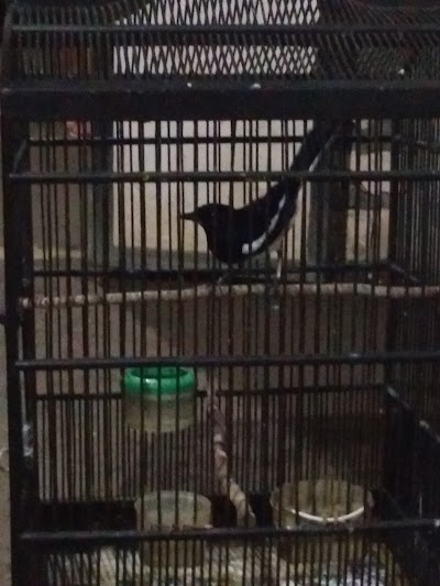 Photos of FAHZA HOUSE kost putri
