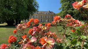Photo n°12 de Château de Chanteloup I Camping 5 étoiles dans la Sarthe, Le Mans à Sillé-le-Philippe (Terrain de camping)