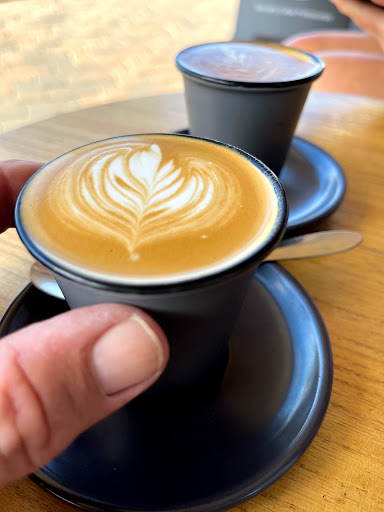 Arrow Bean - Visual