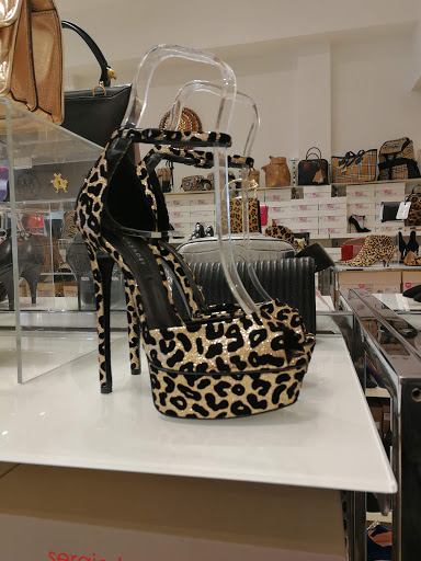 Evolution Outlet - Visual