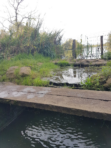 THRAPSTON LARGE GRAVEL PIT LAKE - Thumbnail