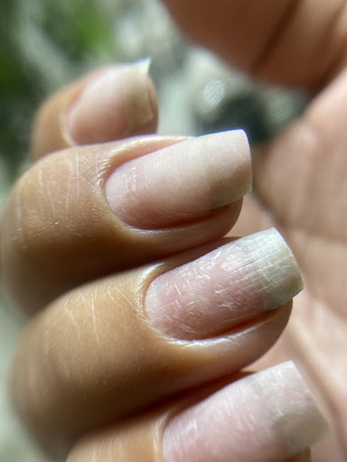 LUZ ESTETICA ECO NAILS BAR DONOSTIA - Thumbnail