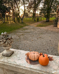 Photo n°16 de Château Couffins à Asques (Vignoble)