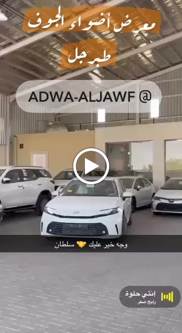 معرض أضواء الجوف للسيارات - صورة 4