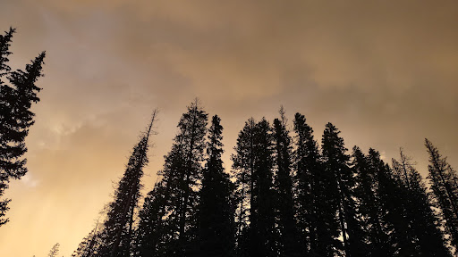 Cobbett Campground - Thumbnail