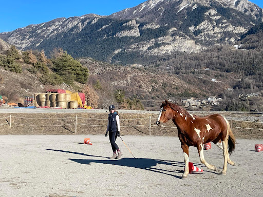 CHEVAL'HARMONIE Monitrice d'équitation Guillestre - Thumbnail