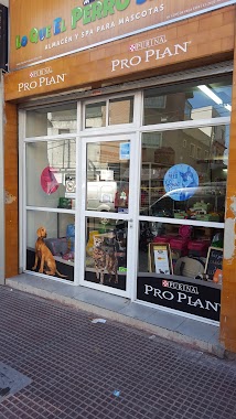 PET SHOP Lo que el perro se llevo Peluqueria Canina, Author: Kevin Uthurralt