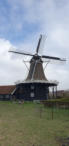 Hollum, De Stelp Gallery - Netherlands