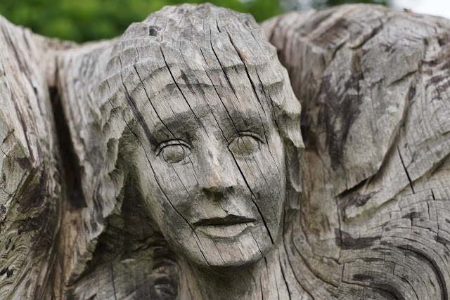 The Yorkshire Arboretum