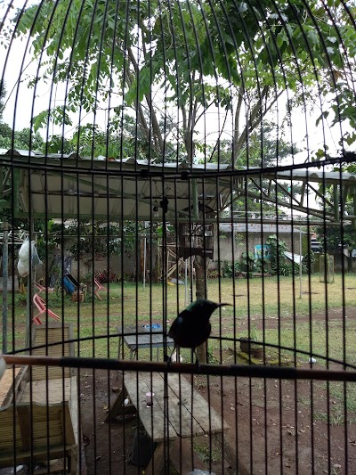 Photos of Taman Baca Sumur Batu