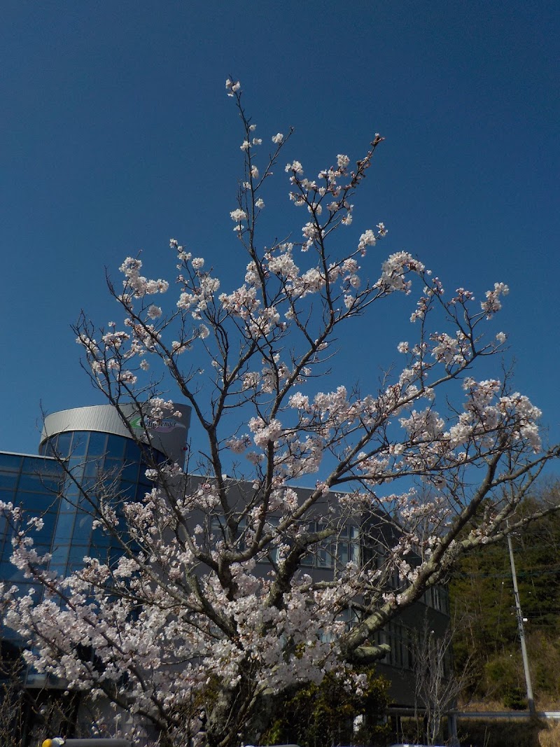 出雲高等自動車教習所